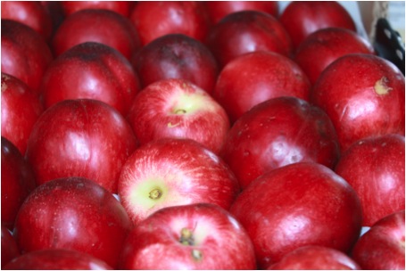 Nectarine
