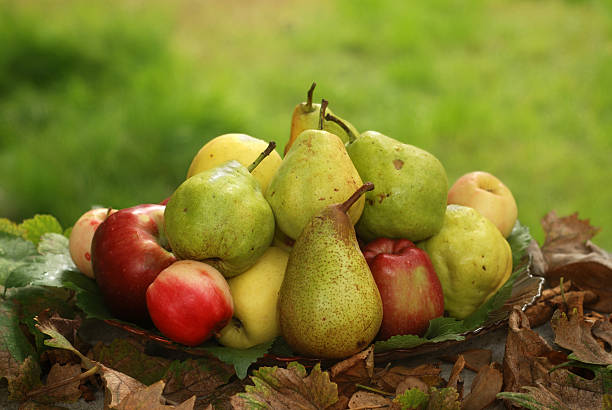 C’est la saison des pommes et des poires