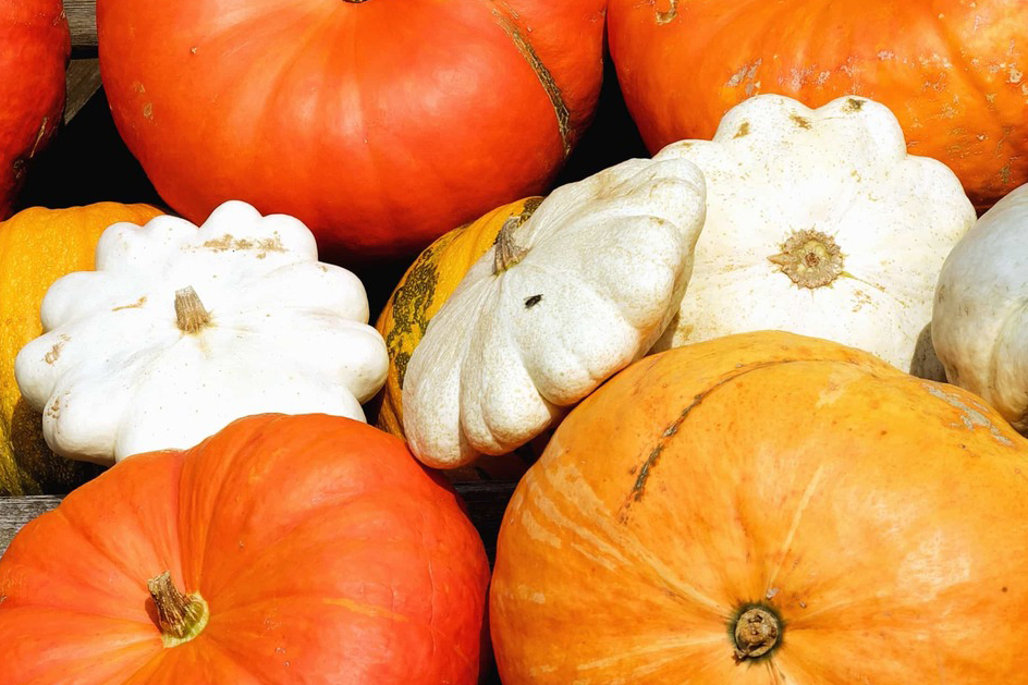 C’est la saison des courges!