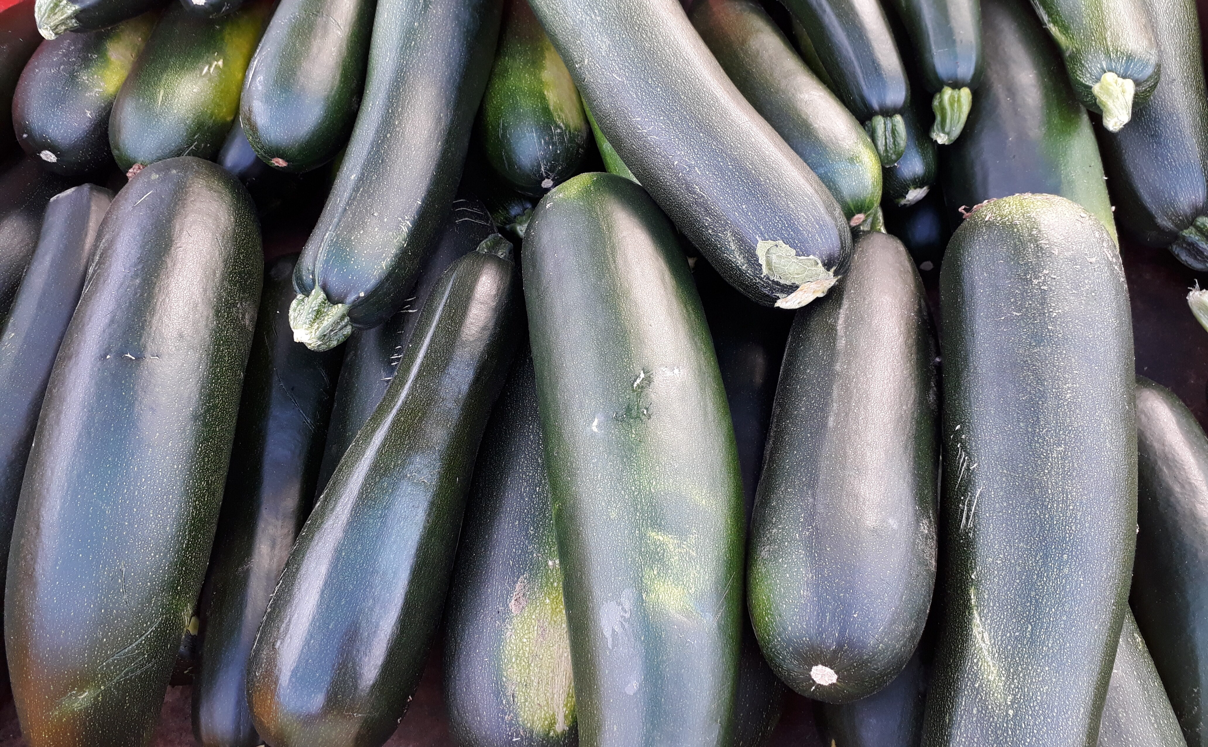 Courgettes