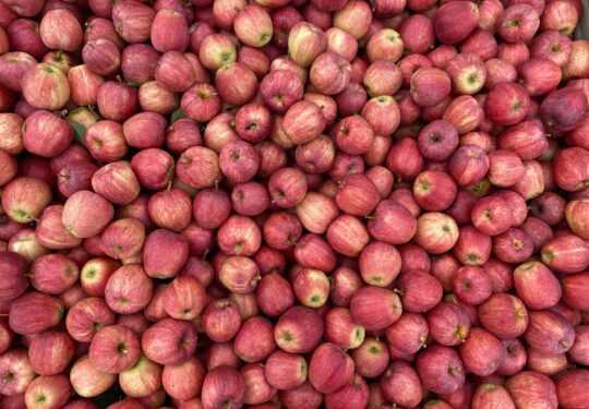 Pommes